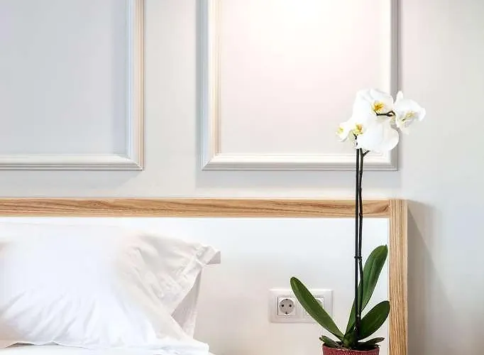 Hotel Frapolli 21 Odessa