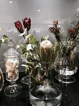 Frapolli 21 4* Odesa