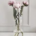 فرابولي 21 فندق 4*