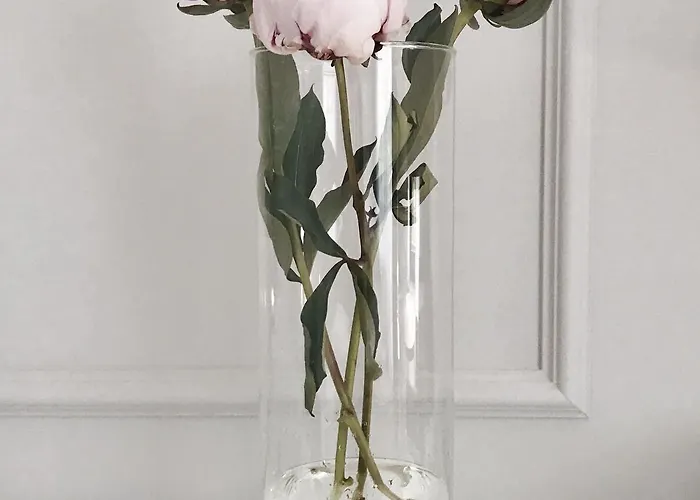 弗拉波利21酒店 酒店 4*